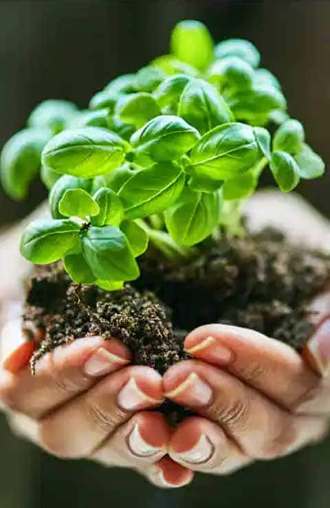 Working toward zero landfill waste