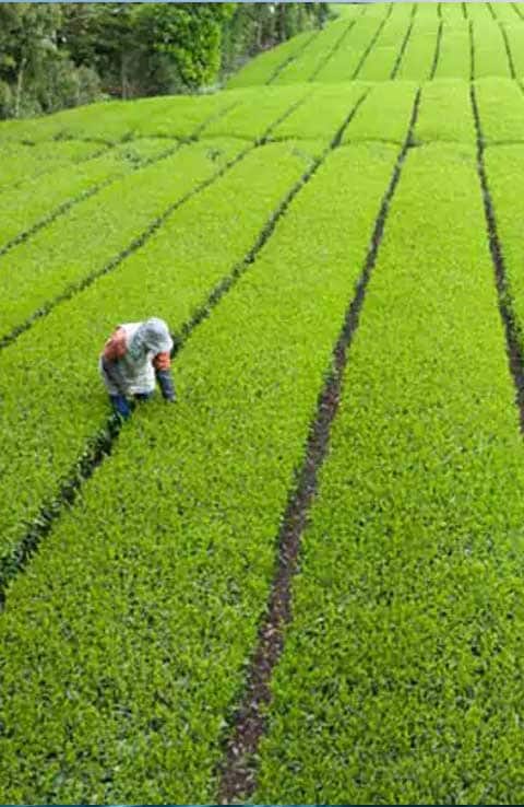 Working toward zero landfill waste