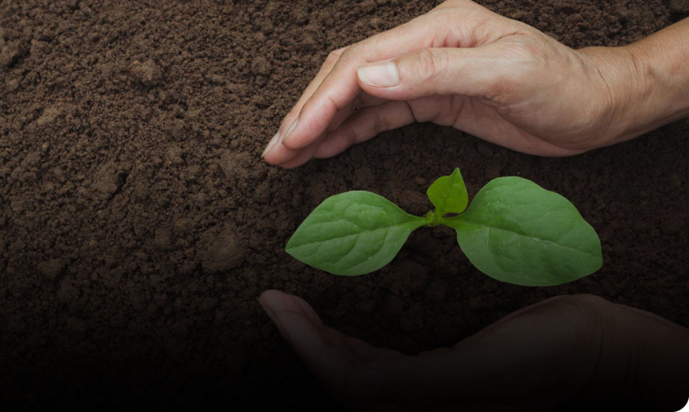 Championing a healthy planet Championing a healthy planet