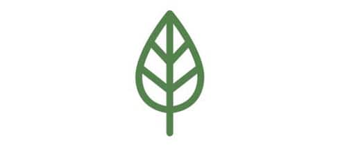 leaf icon